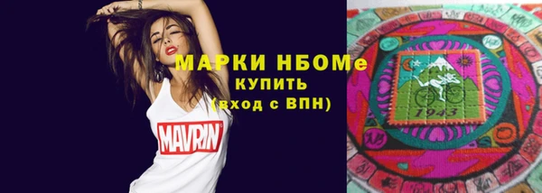 индика Яранск