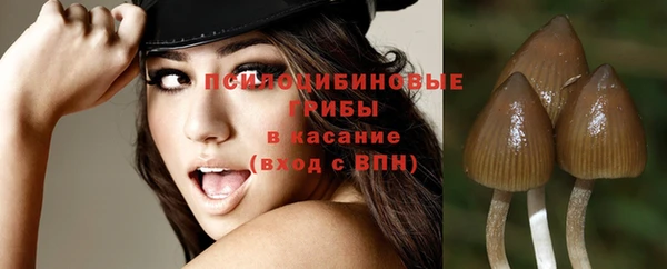 круглые Краснослободск