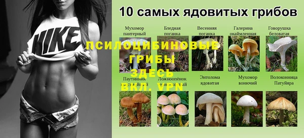 круглые Краснослободск