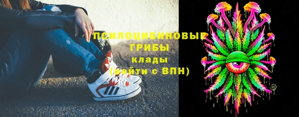 соль ск Кукмор